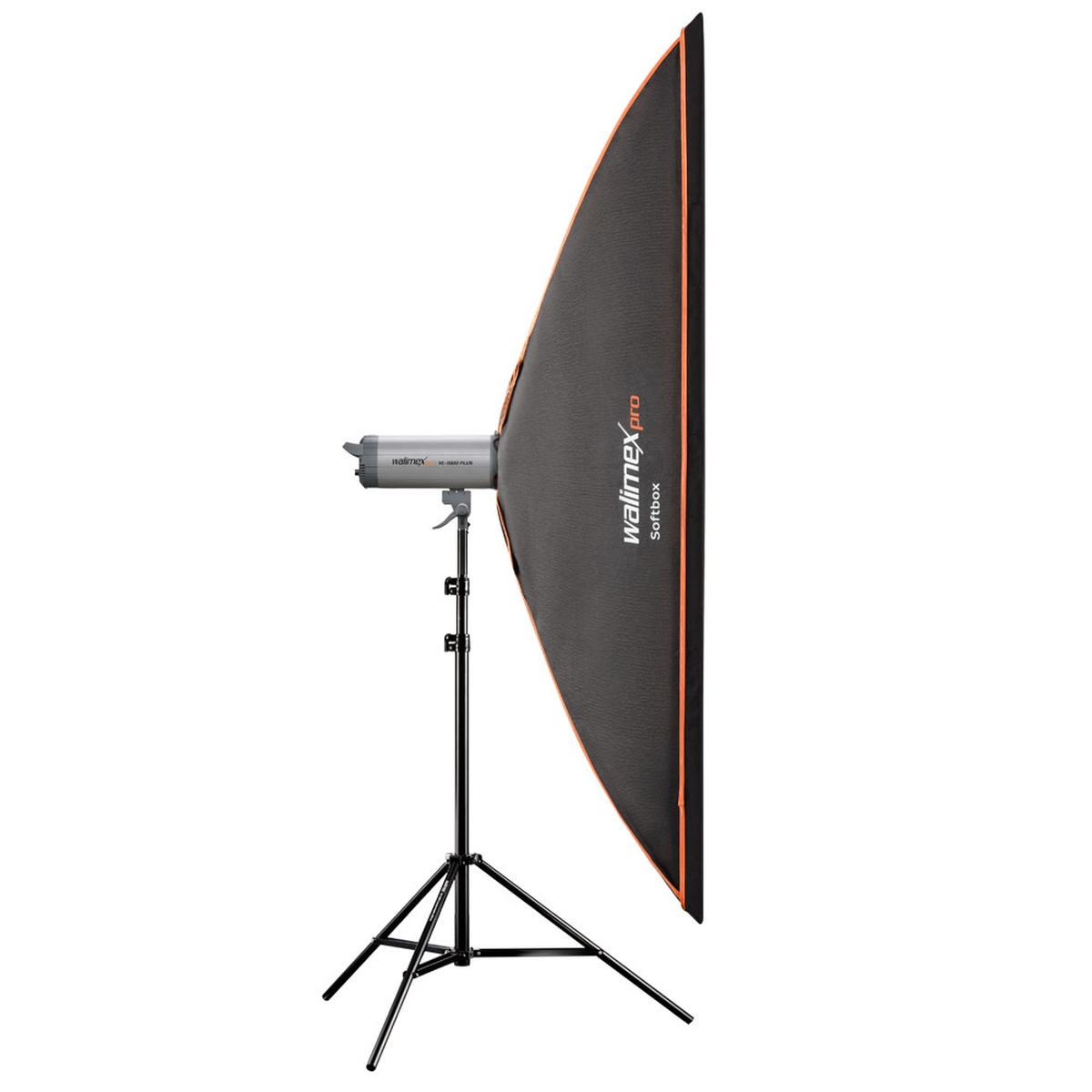 Walimex pro Softbox OL 60x200 cm Walimex C&CR Serie