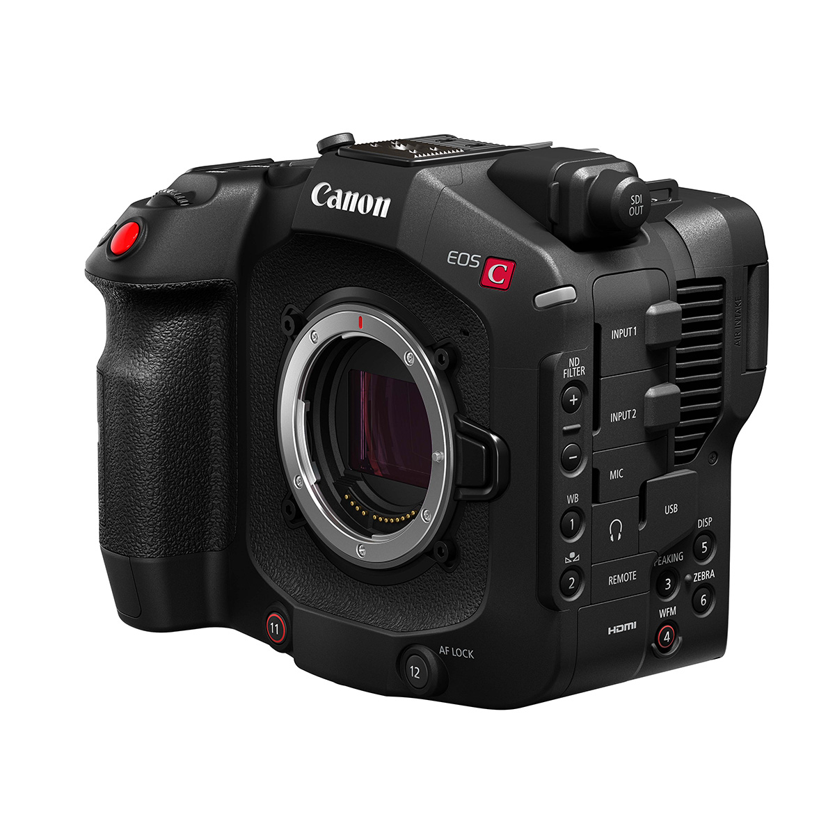 Canon EOS C80 Body Cinema Camcorder