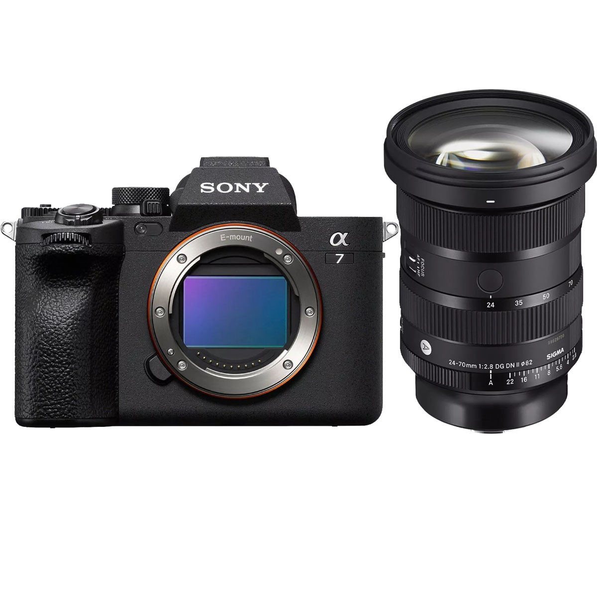 Sony Alpha 7 IV +  Sigma 24-70 mm 1:2,8 DG DN II (A) E-Mount