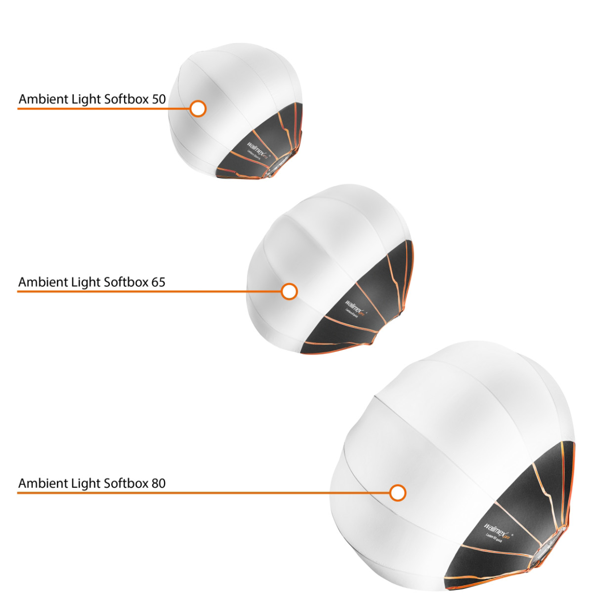 Walimex pro 360° Ambient Light Softbox 50 cm Multiblitz P