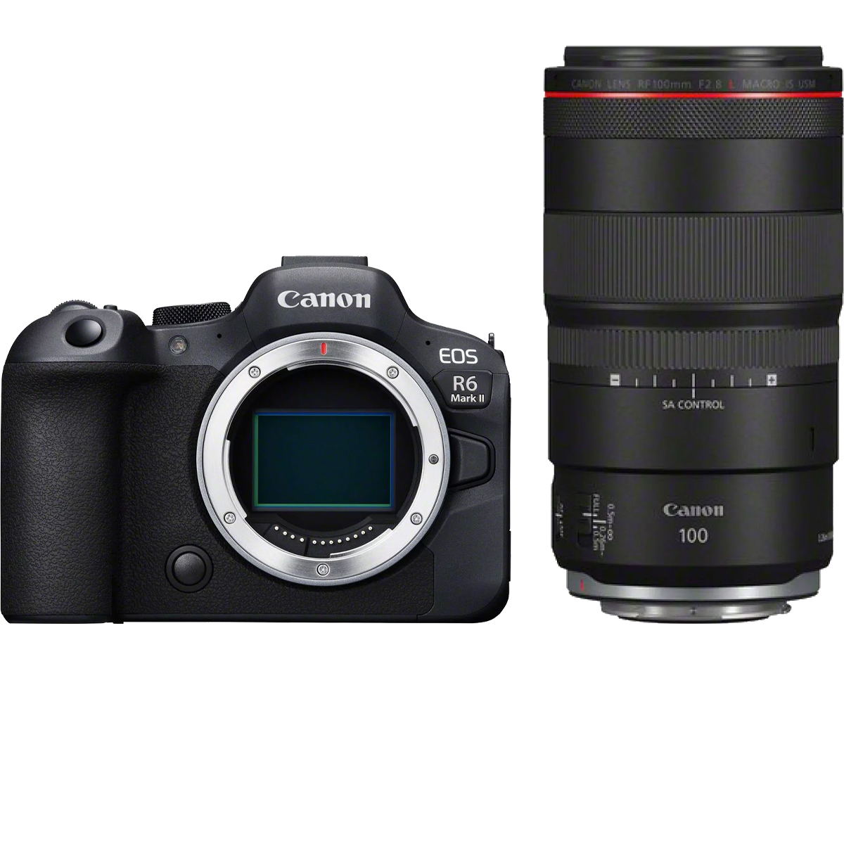Canon EOS R6 Mark II + Canon RF 100 mm 1:2,8 L IS USM Makro