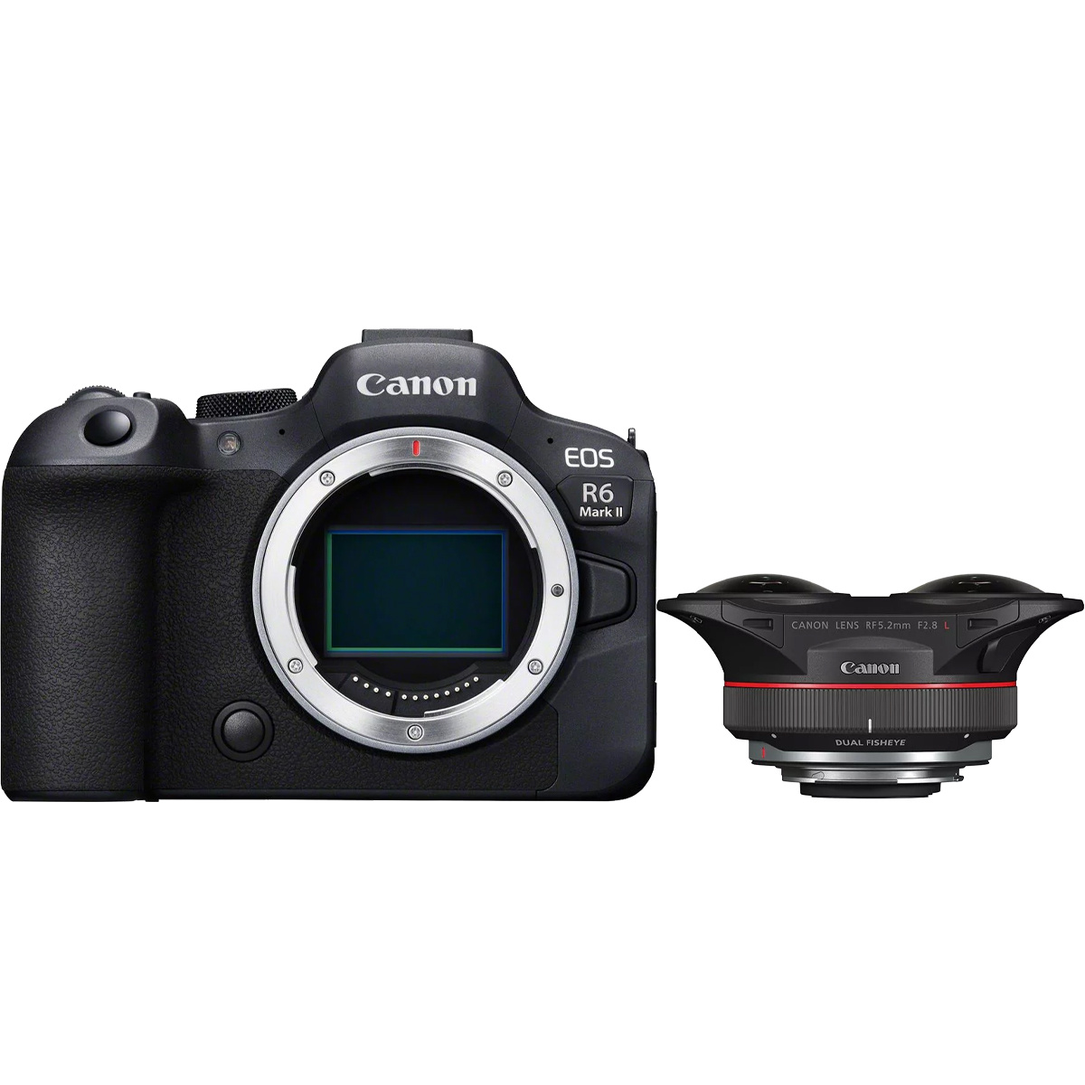 Canon EOS R6 Mark II + Canon RF 5,2 mm 1:2,8 L Dual Fisheye