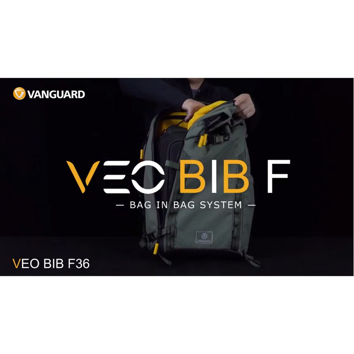 Vanguard VEO BIB F28