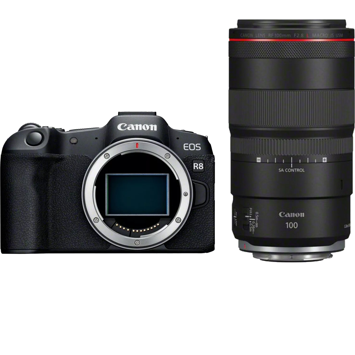 Canon EOS R8 + Canon RF 100 mm 1:2,8 L IS USM Makro
