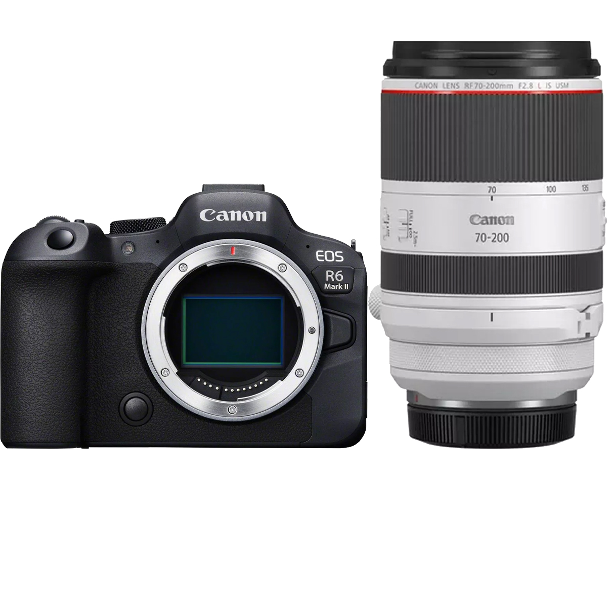 Canon EOS R6 Mark II + Canon RF 70-200 mm 1:2,8 L IS USM