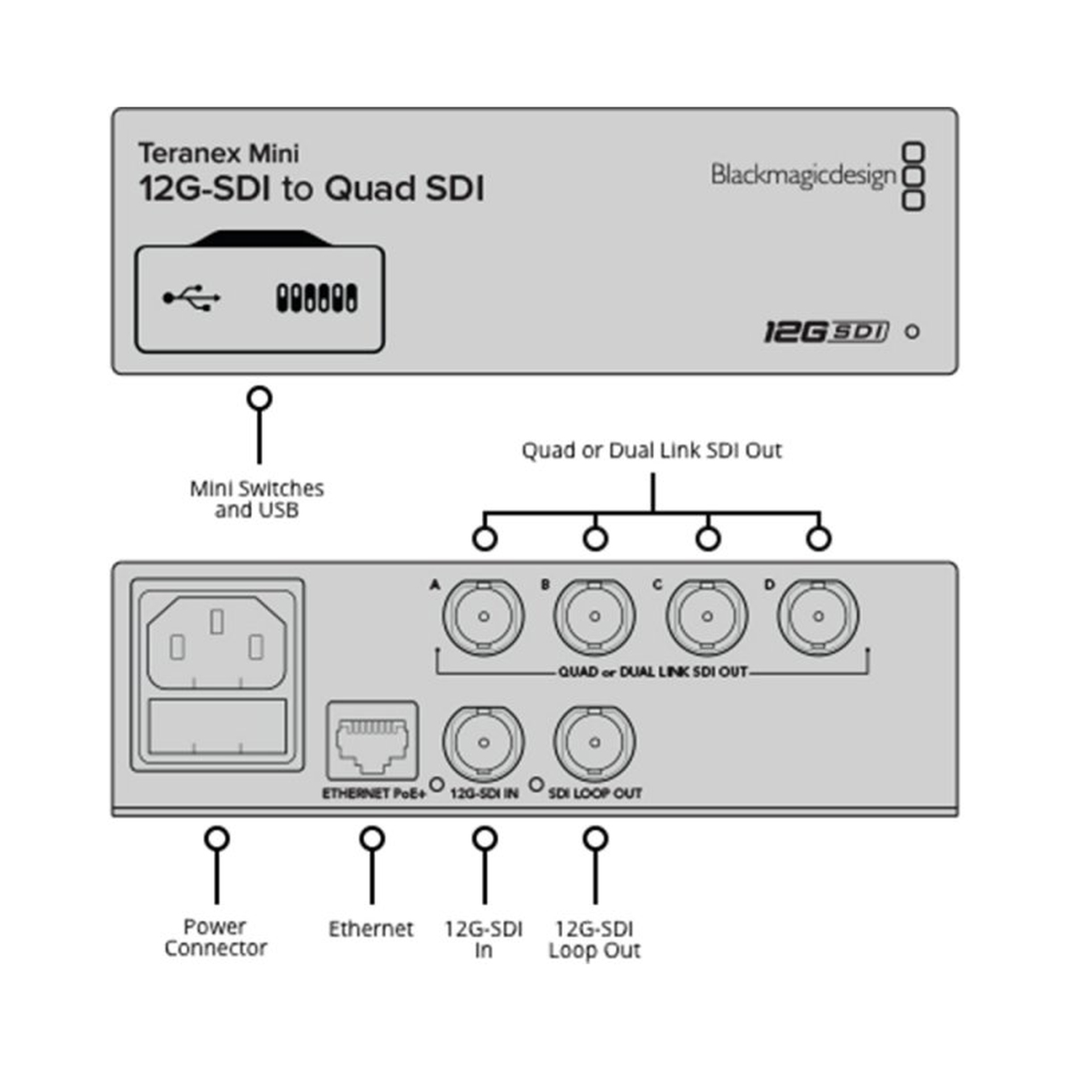 Blackmagic Teranex Mini - 12G-SDI zu Quad SDI