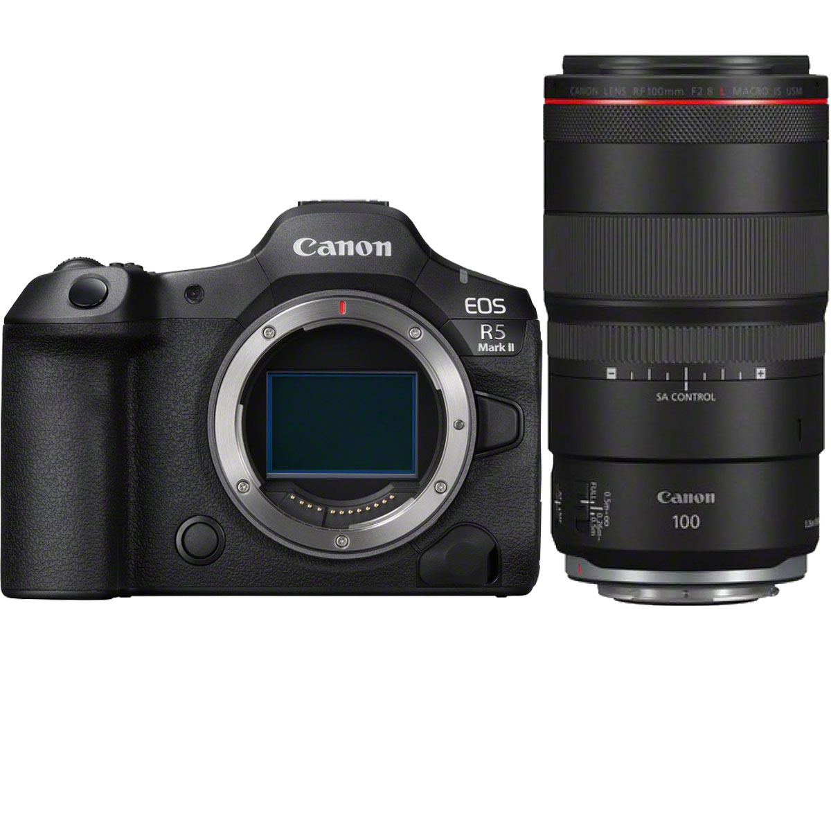 Canon EOS R5 II + Canon RF 100 mm 1:2,8 L IS USM Makro