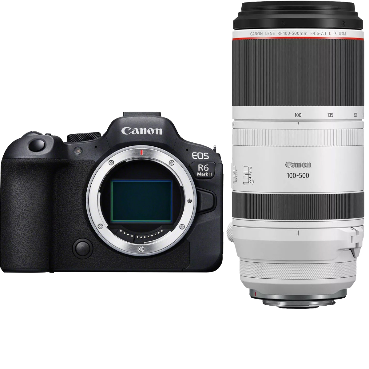 Canon EOS R6 Mark II + Canon RF 100-500 mm 1:4.5-7.1 L IS USM