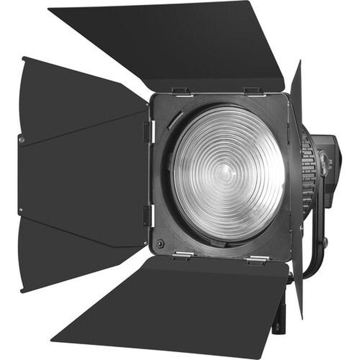 Godox Fresnel-Tor für 10-Zoll-Objektiv