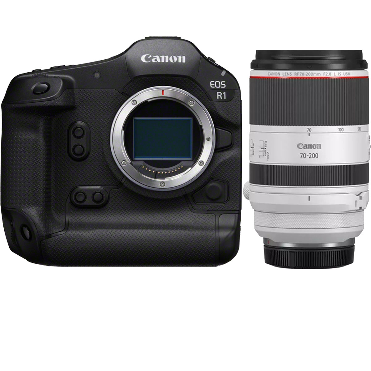 Canon EOS R1 + Canon RF 70-200 mm 1:2,8 L IS USM
