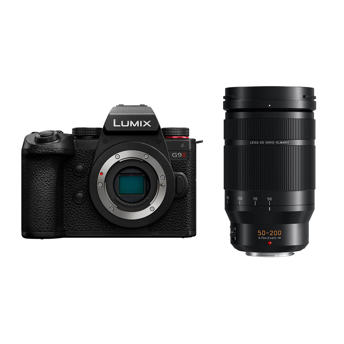 Panasonic Lumix DC-G9 II + Panasonic 50-200 mm 1:2,8-4,0 OIS Leica