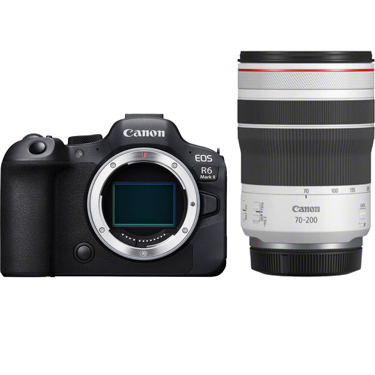 Canon EOS R6 Mark II + Canon RF 70-200 mm 1:4,0 L IS USM