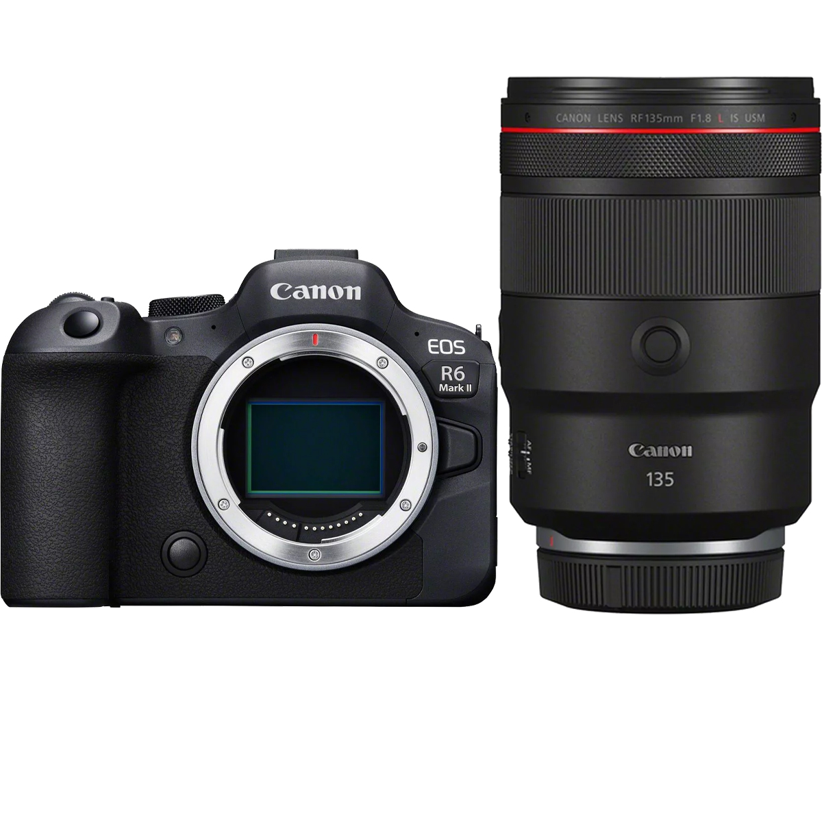 Canon EOS R6 Mark II + Canon RF 135 mm 1:1,8 L IS USM
