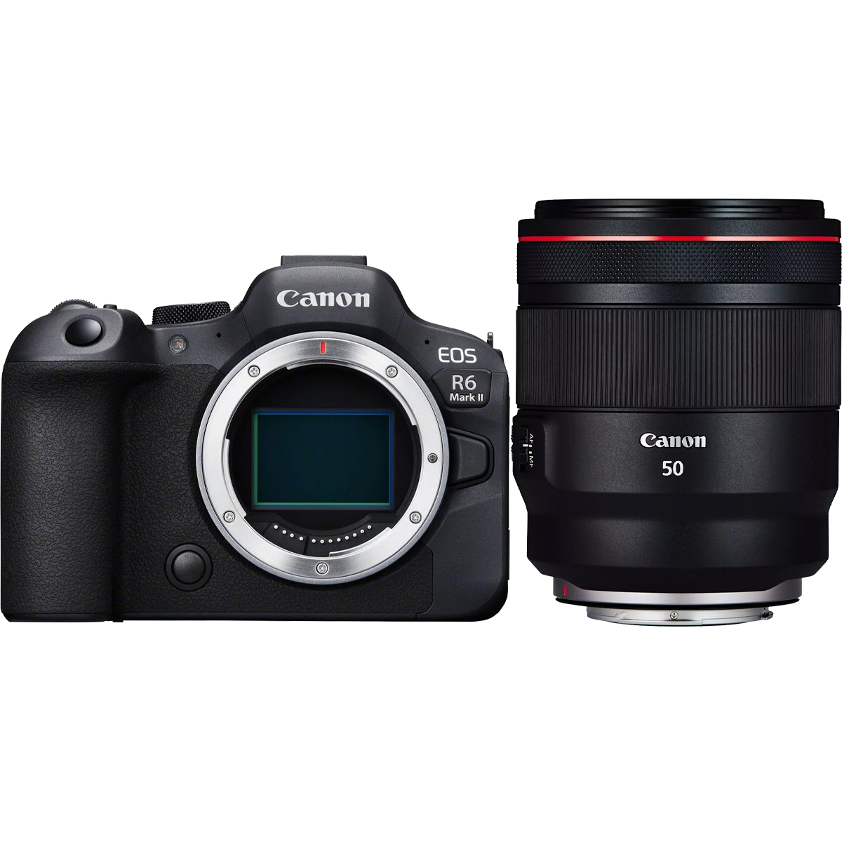 Canon EOS R6 Mark II + Canon RF 50 mm 1:1,2 L USM