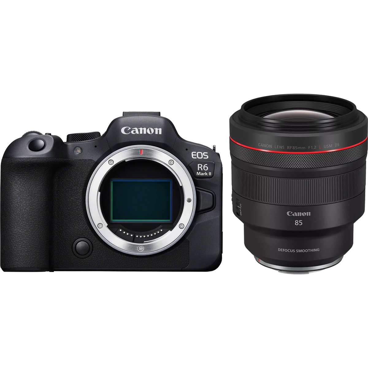 Canon EOS R6 Mark II + Canon RF 85 mm 1:1,2 L USM DS