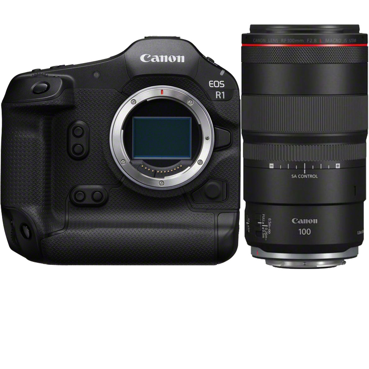 Canon EOS R1 + Canon RF 100 mm 1:2,8 L IS USM Makro