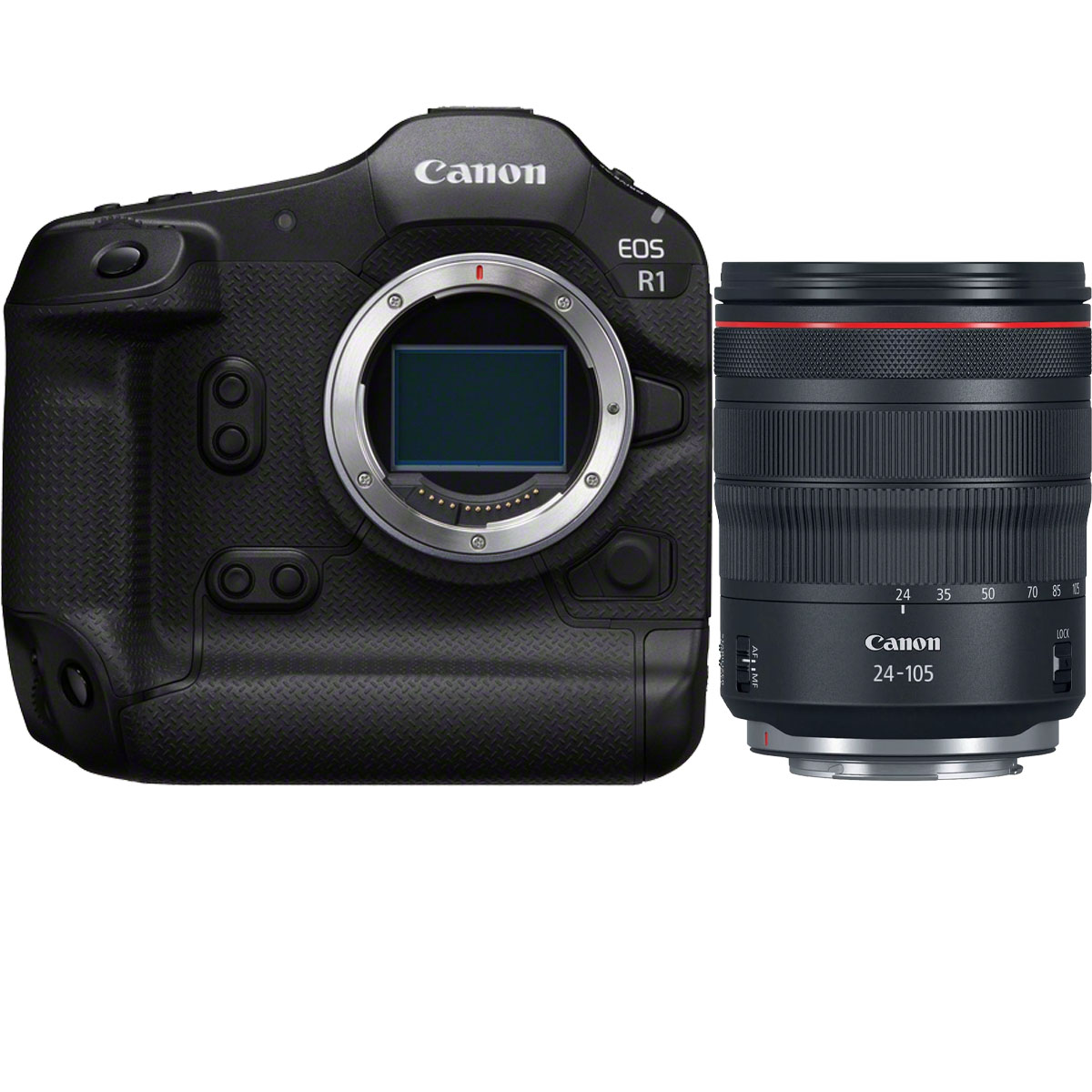 Canon EOS R1 + Canon RF 24-105 mm 1:4 L IS USM