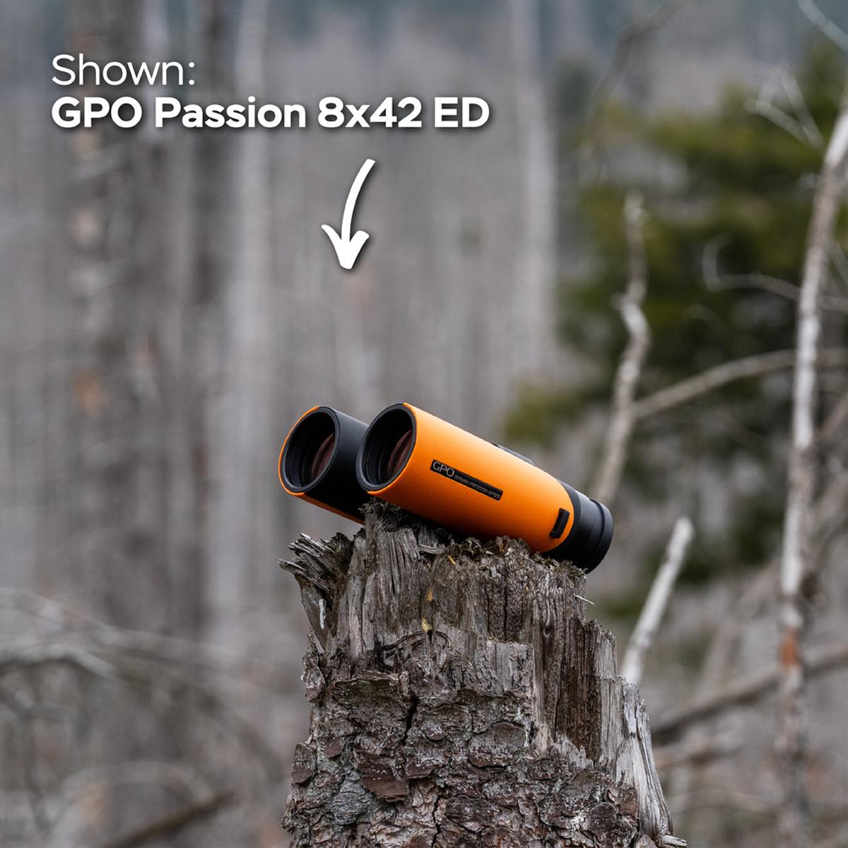 GPO Passion 10x32ED Fernglas Orange