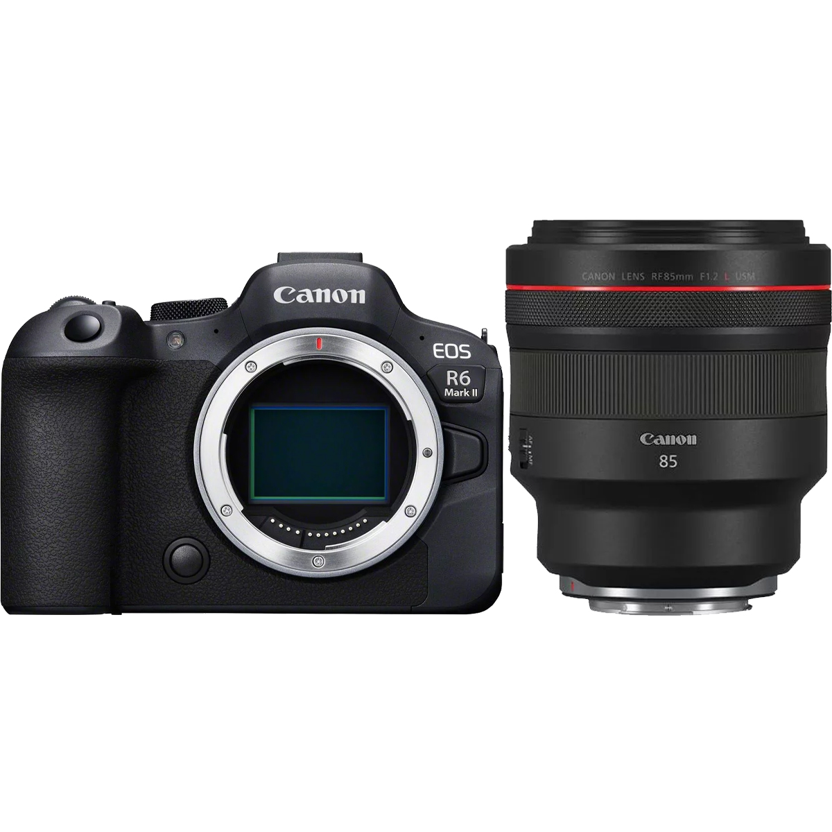 Canon EOS R6 Mark II + Canon RF 85 mm 1:1,2 L USM